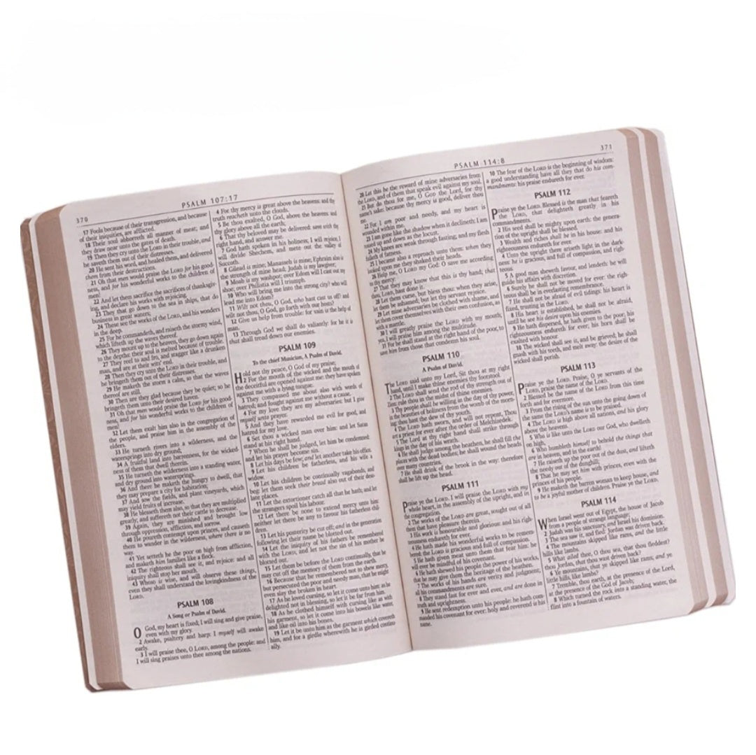 KJV Holy Bible Brown