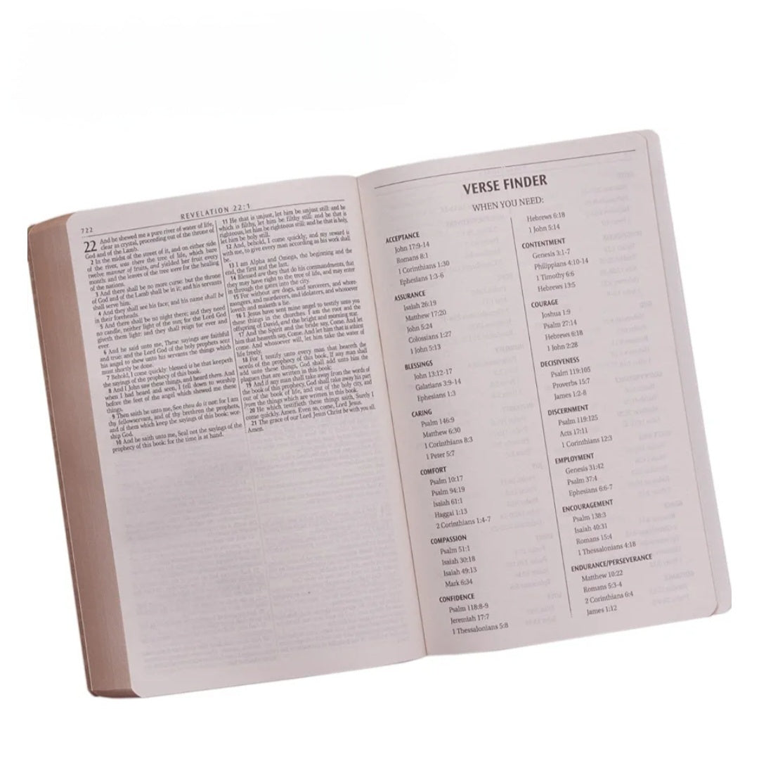 KJV Holy Bible Brown